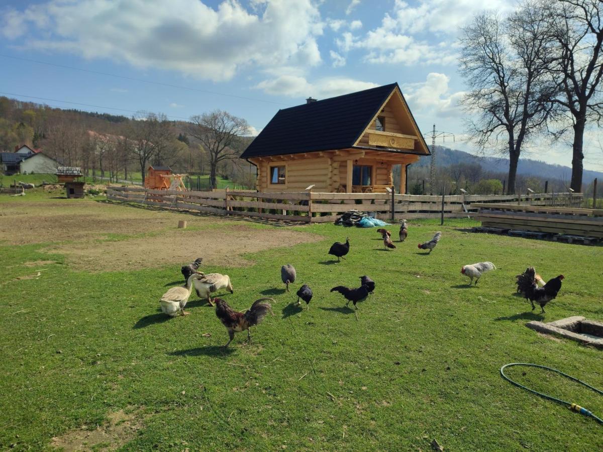 Sudecki Dym Z Kominkiem Kolo Karpacza. Agroturystyka Janowice Wielkie Kültér fotó