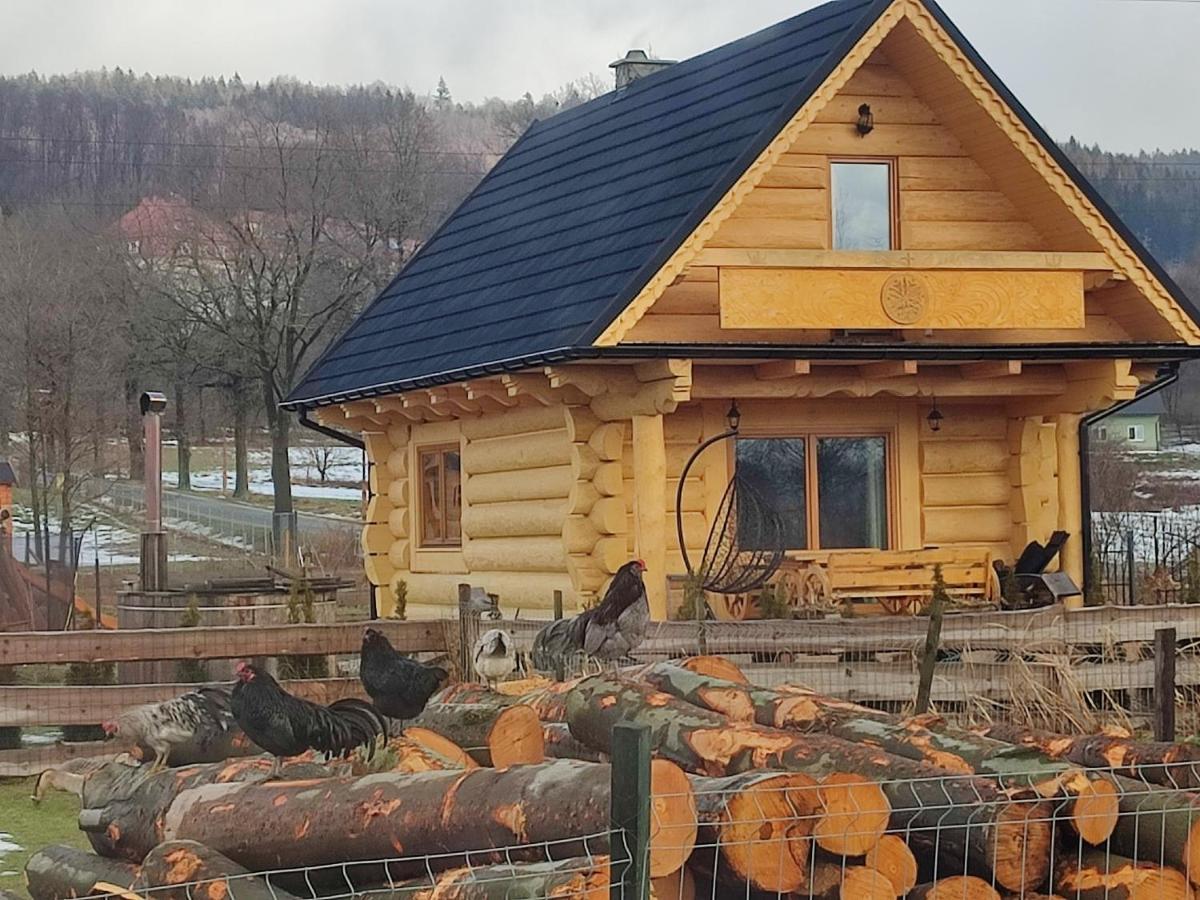 Sudecki Dym Z Kominkiem Kolo Karpacza. Agroturystyka Janowice Wielkie Kültér fotó